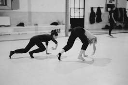 Ciudad en Cuerpo. Trabajo en sala 